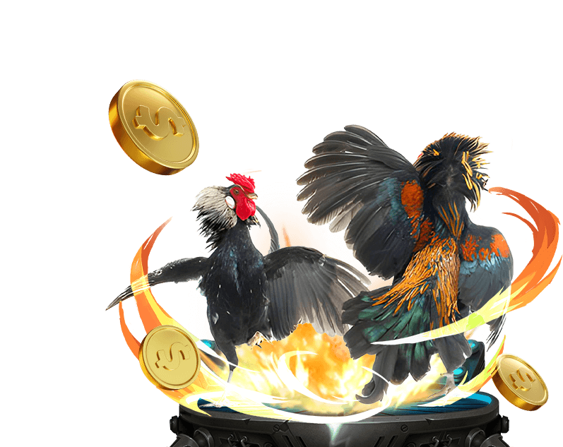 Đá Gà Trực Tiếp b88